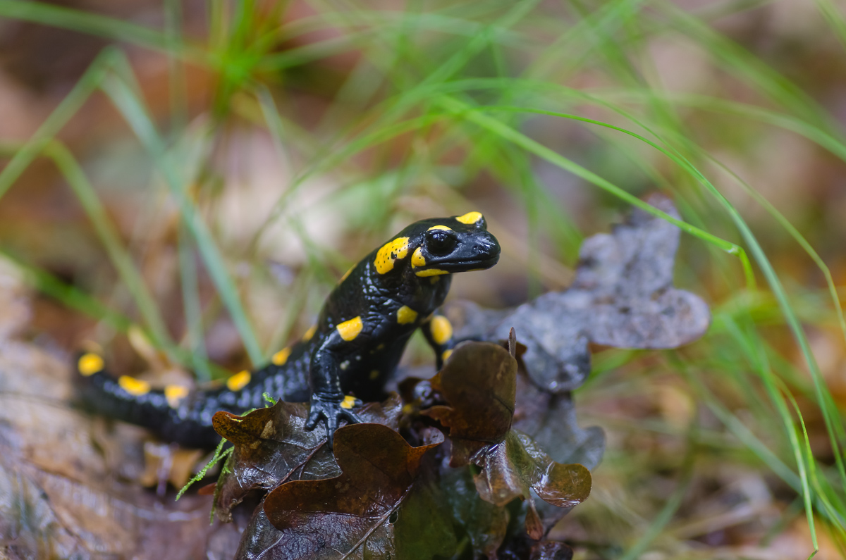 Tour_15102015-14.jpg