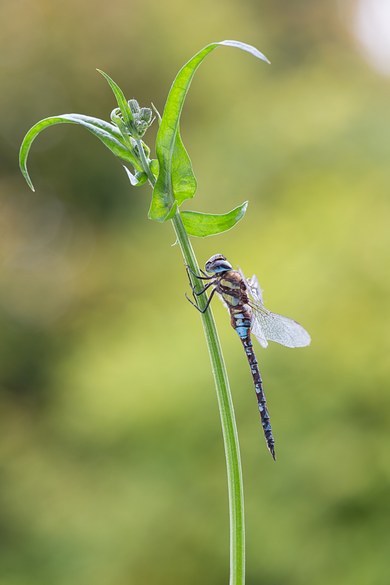 20151012-IMG_7823-b.jpg