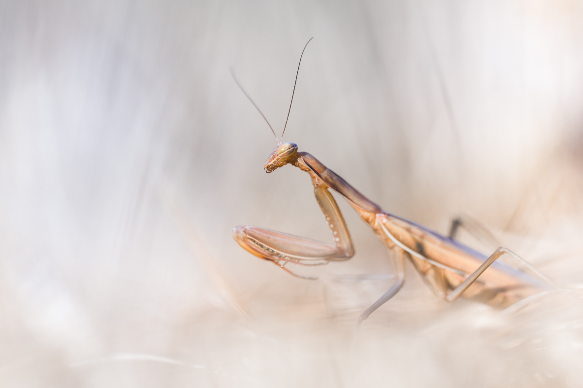 20150726-_DSC2062-klein1.jpg