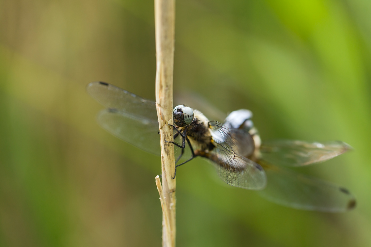 20140525_0847.jpg