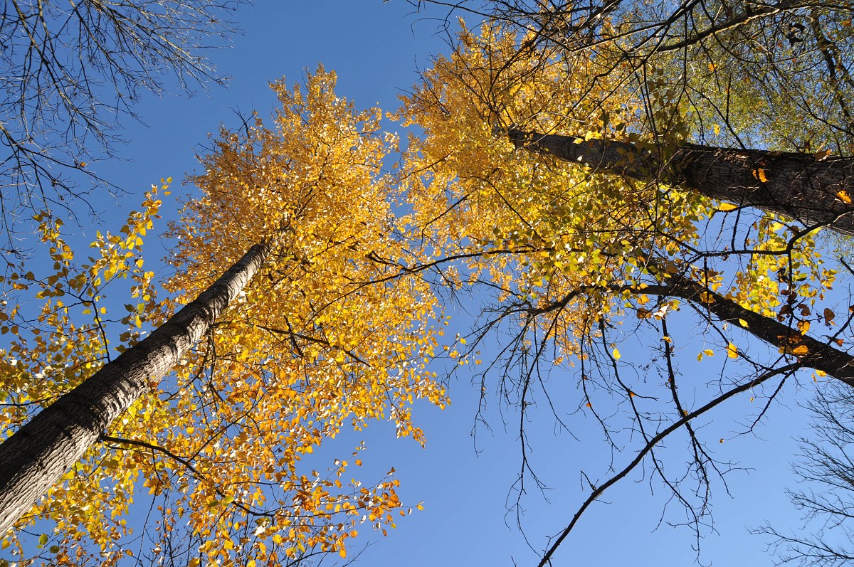 DSC_0456.jpg