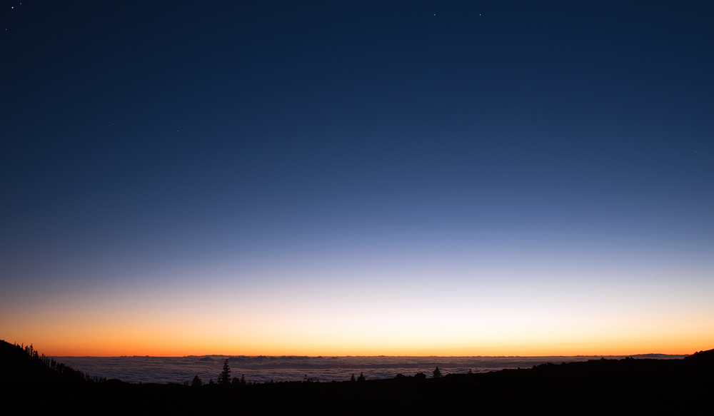 DSC_1826.jpg
