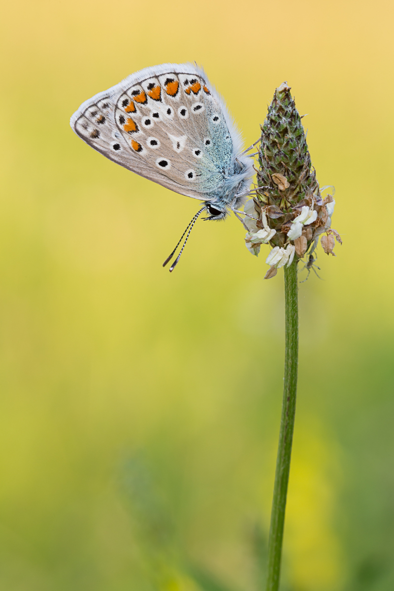 20150723-IMG_2559-b.jpg