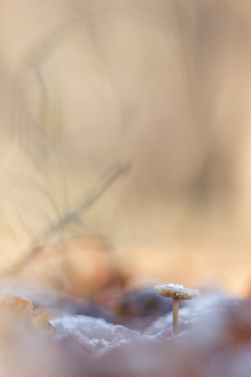 IMG_2428_web.jpg
