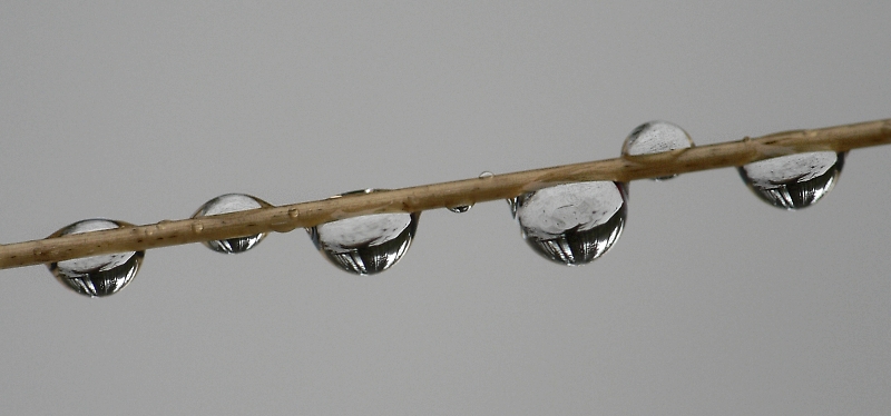 tropfenreihe2.jpg