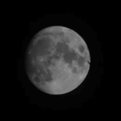 Mond mit Flieger.gif