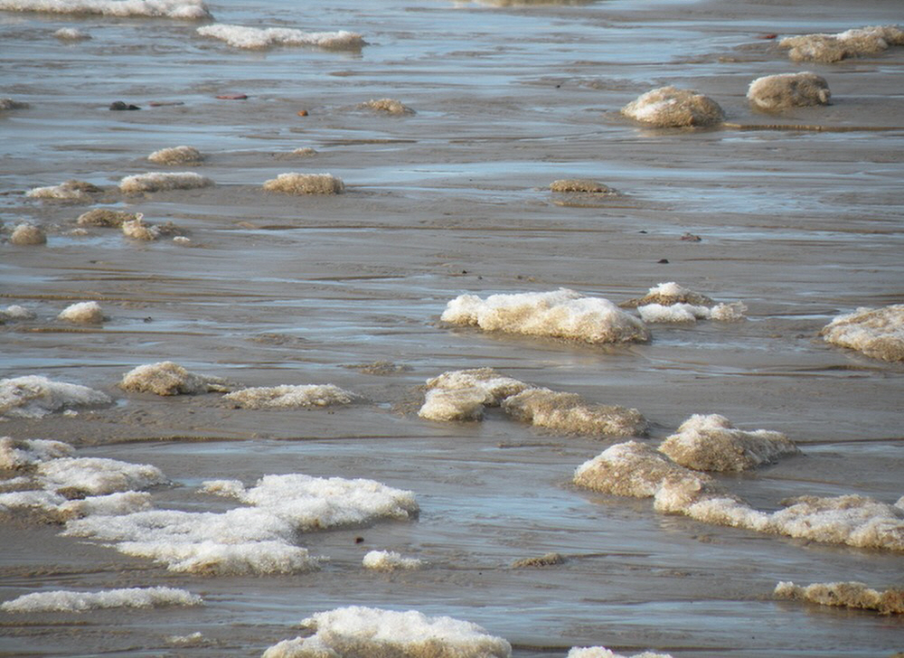 DSCN4762-.jpg