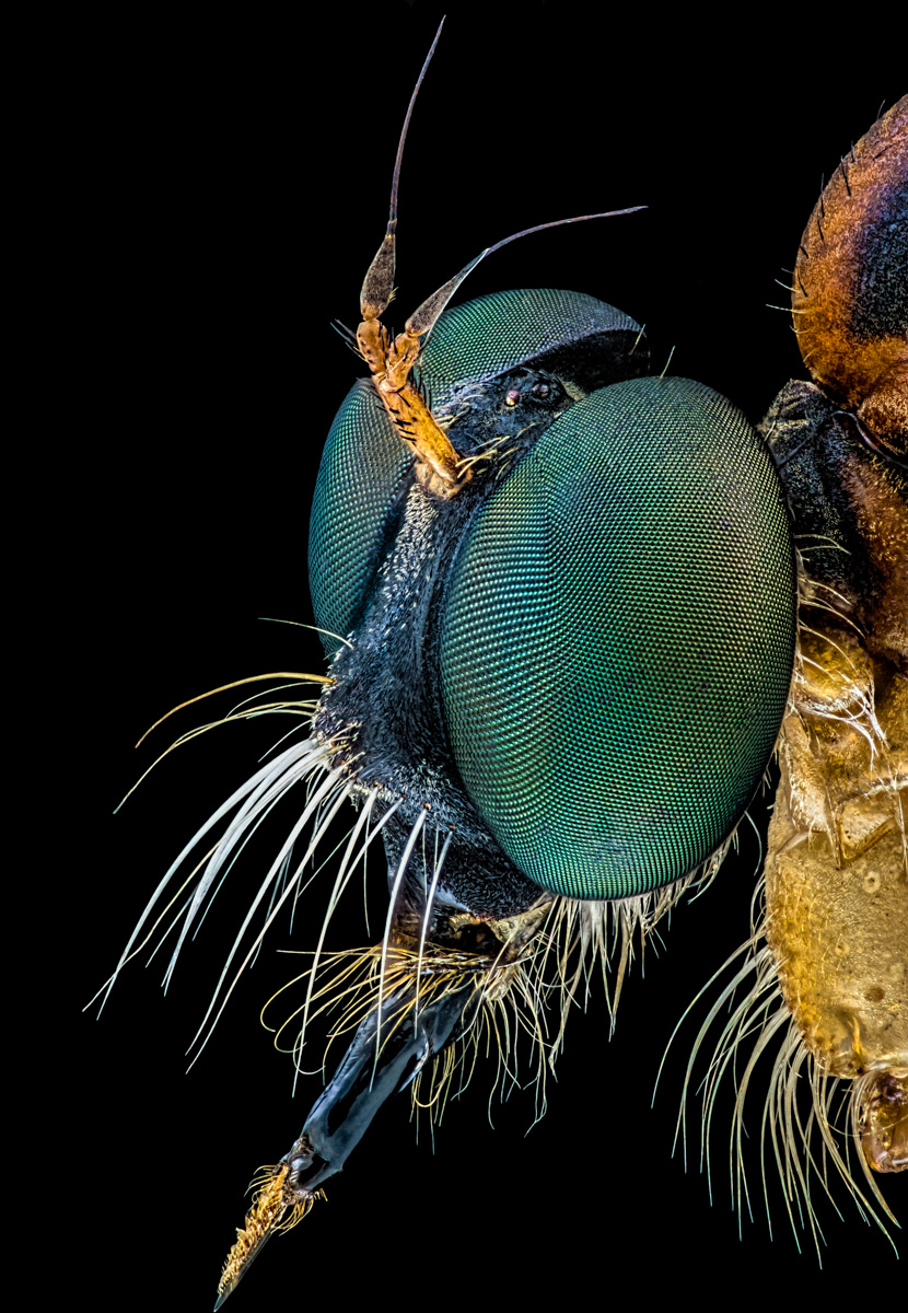 1.Schneider 50, 434 B, 0,015 mm, 3,5.jpg