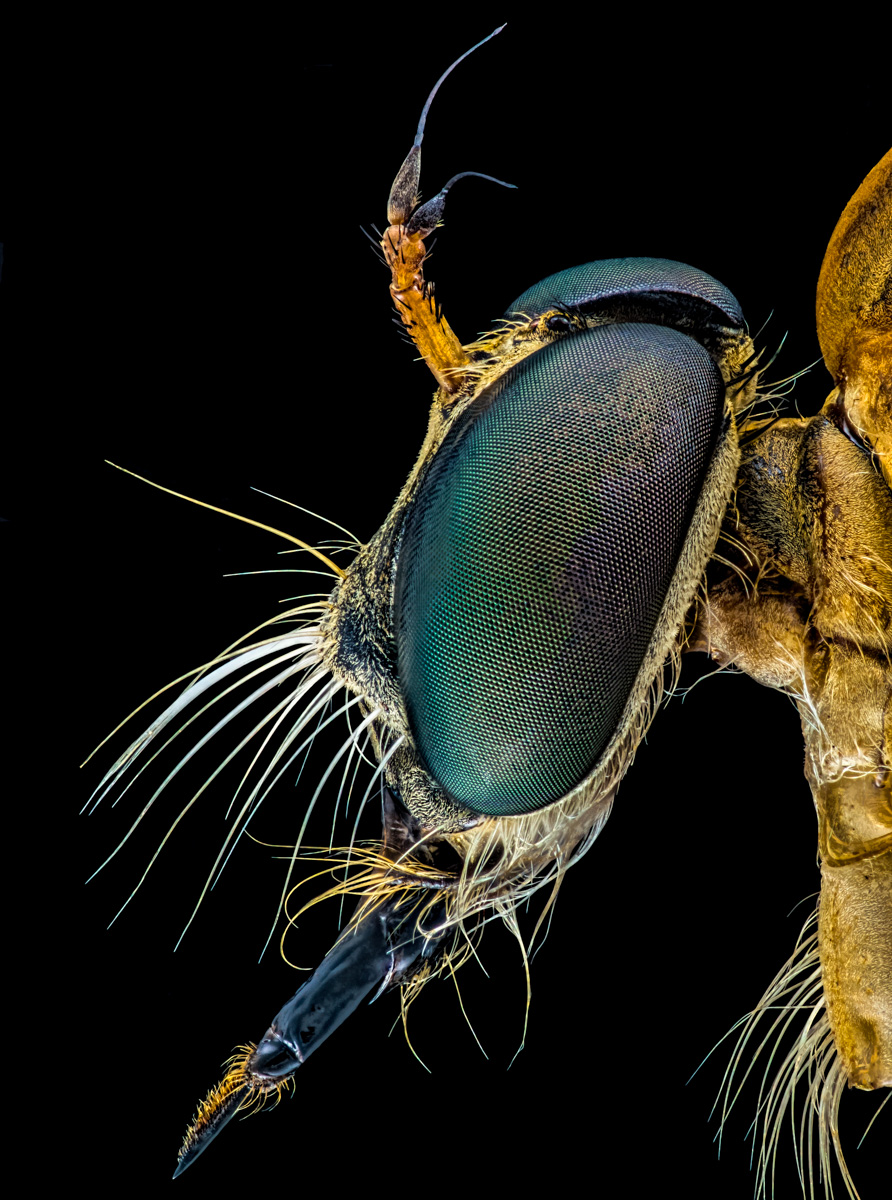 3.Schneider 50, 299 B, 0,015 mm, 3,1.jpg