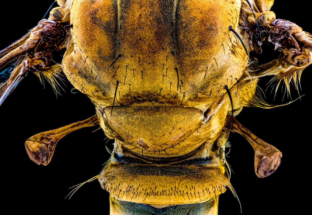 4.Schneider 50, 241 B, 0,015 mm, 3,4.jpg