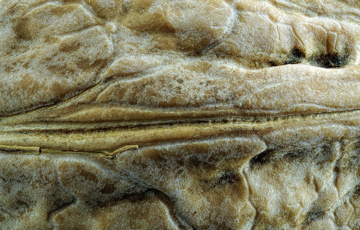 2016-01-11-13.31.00 ZS DMap.jpg