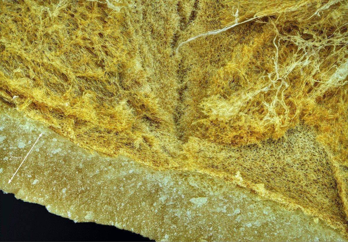 2016-01-11-23.28.27 ZS retouched.jpg