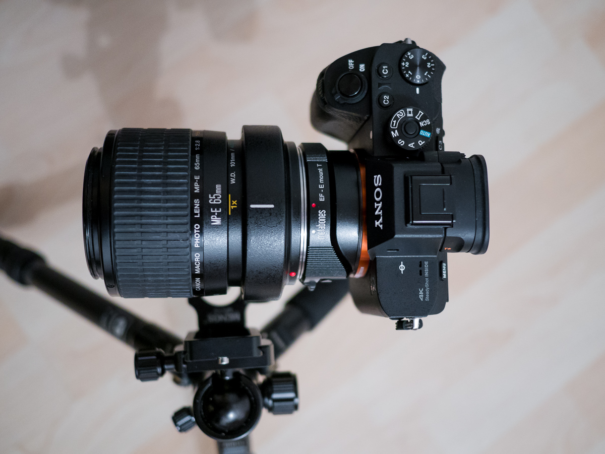 A7rII-MPE-005.jpg