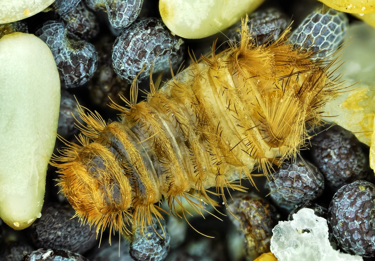 2016-01-16-15.54.44 ZS retouched.jpg