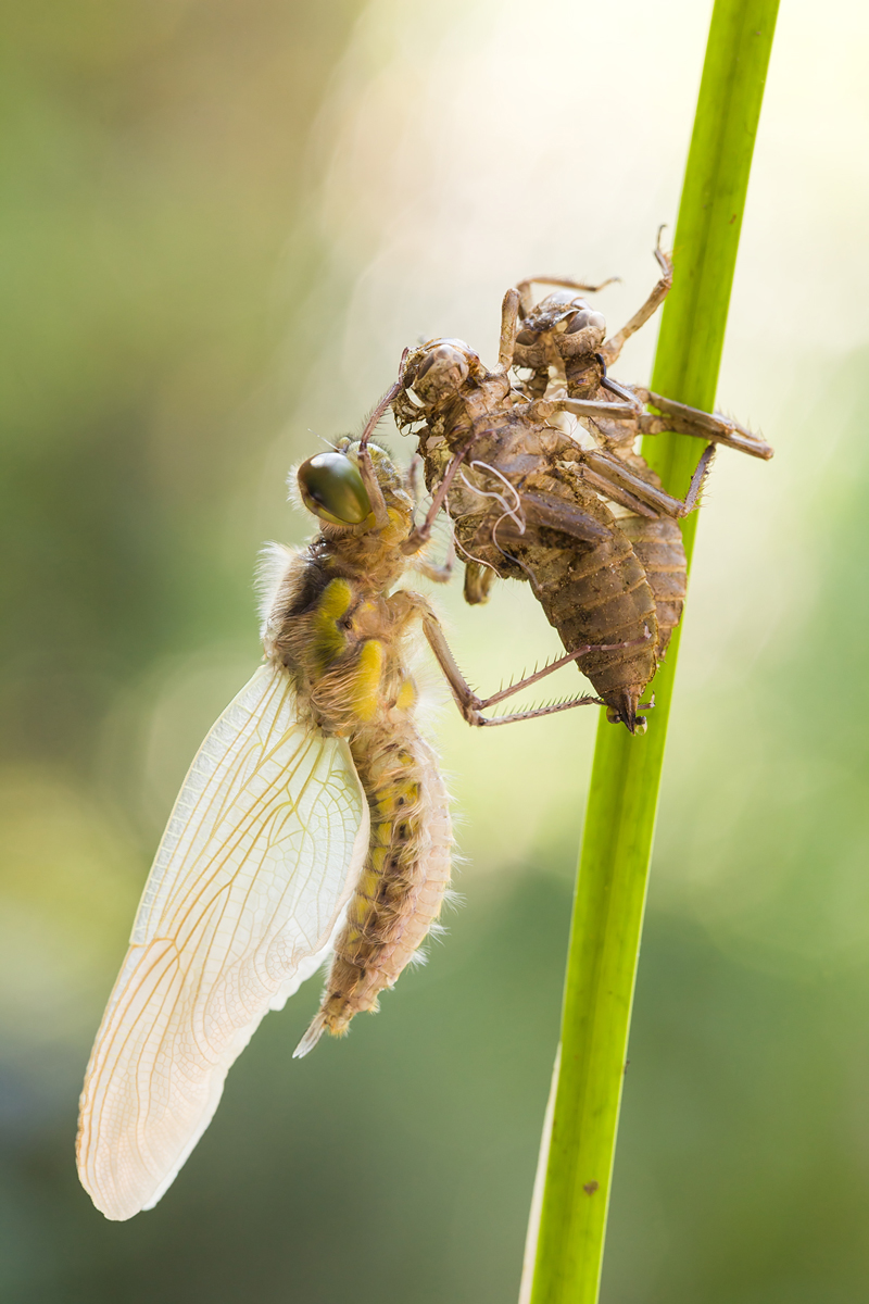 20120504_0191-1200.jpg