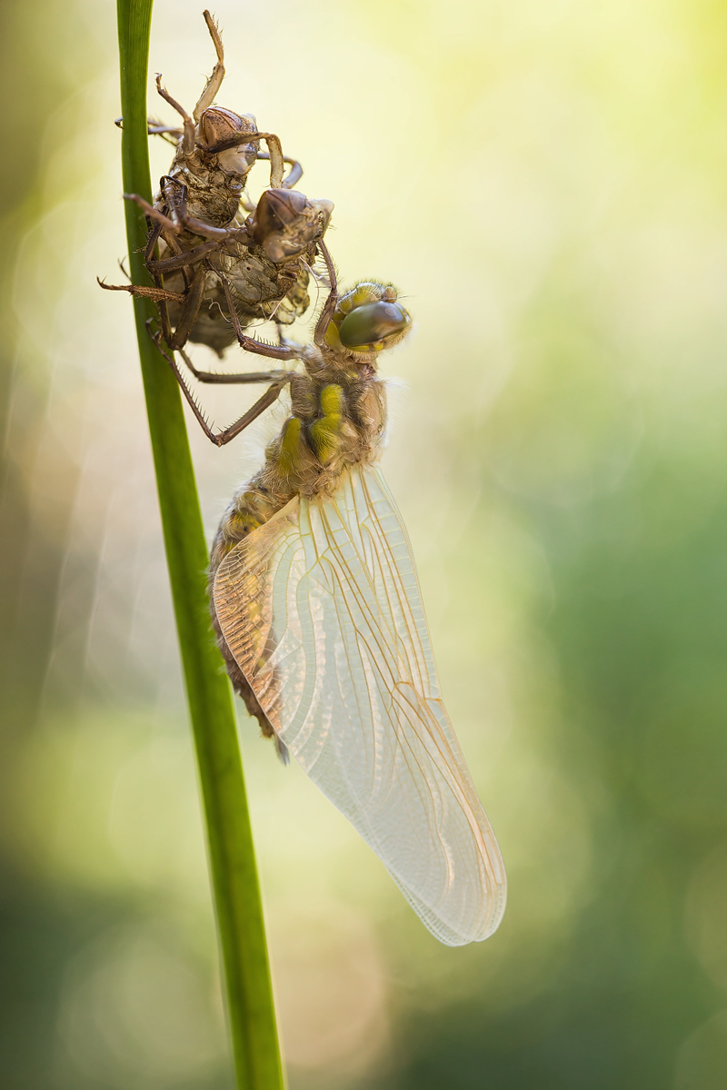 20120504_0240.jpg