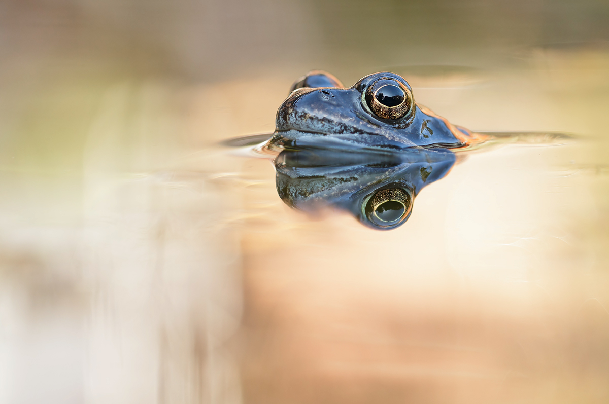 20150312_0043.jpg
