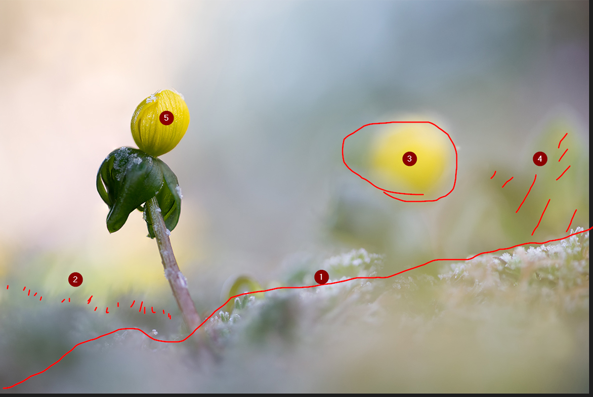 2016-02-19-16_23_39-Makrofotografie---Die-Community-für-Makrofotografen.jpg