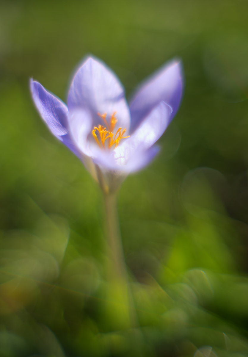 DSC01780.b.jpg