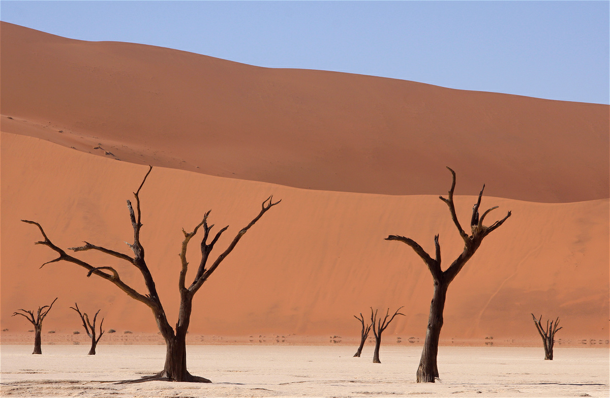 deadvlei03makro.jpg