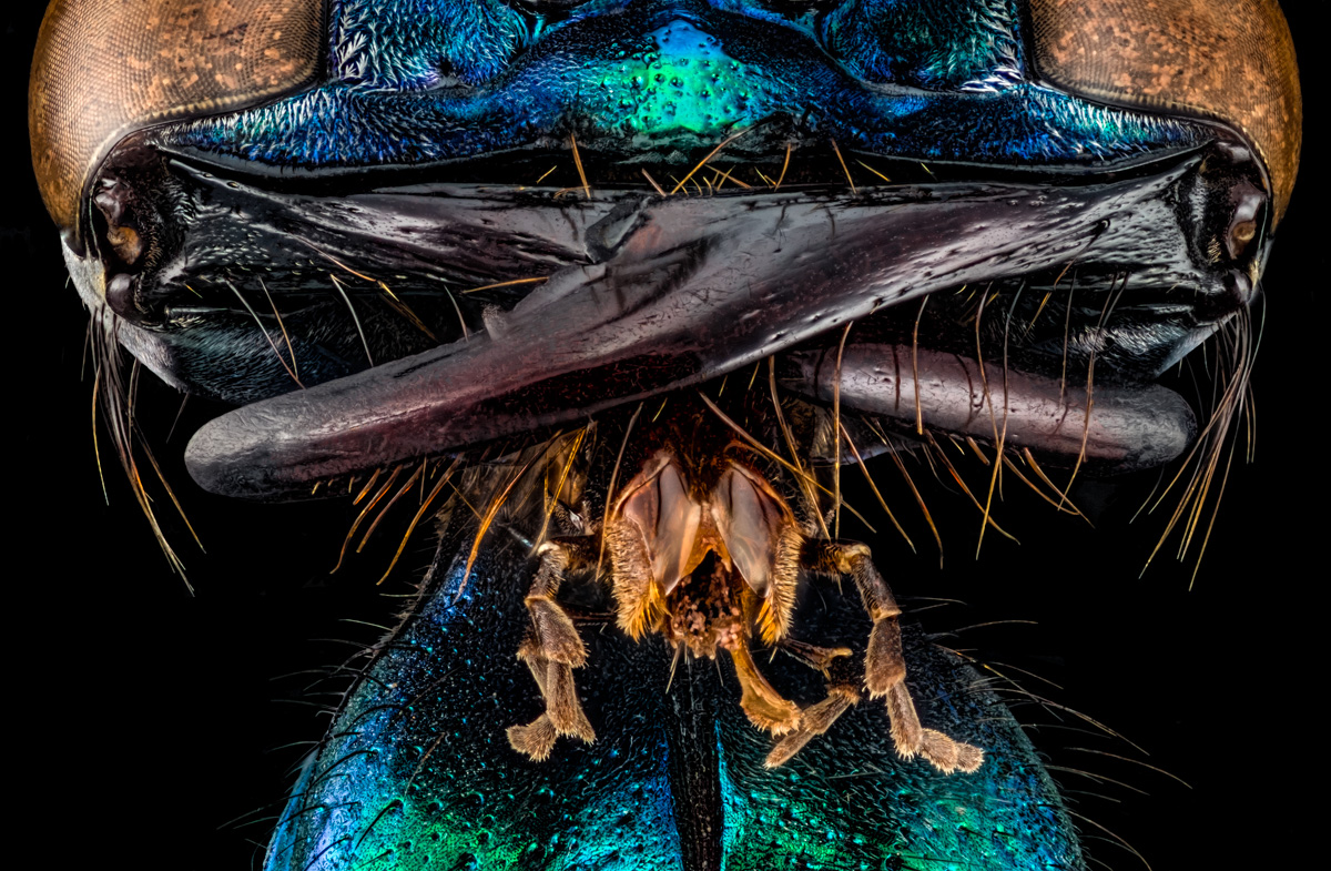 1.Schneider 50, 532 B, 0,015 mm, 3,5. Fuji.jpg