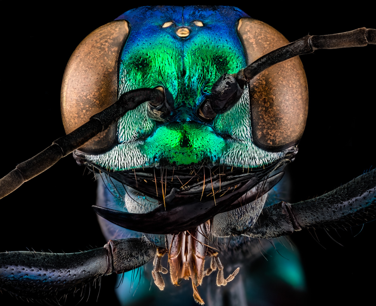 3.Schneider 50, 469 B, 0,015 mm, 2. Fuji.jpg