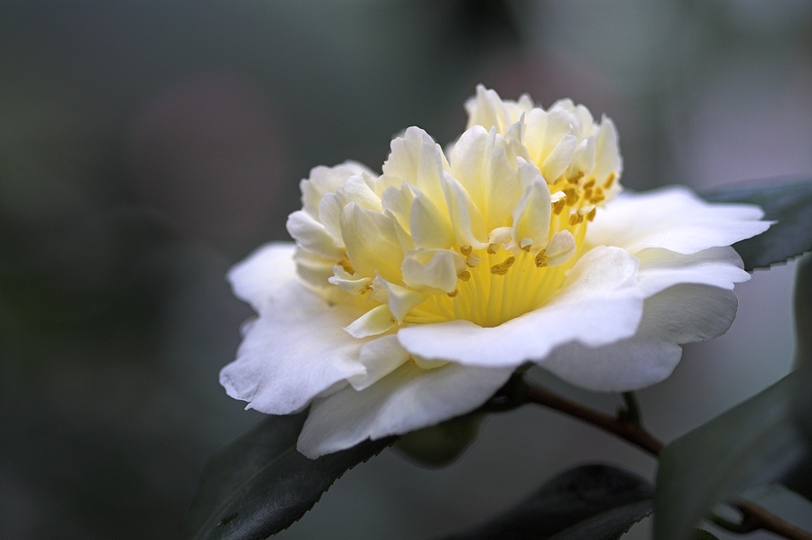 PICT6622-01.jpg