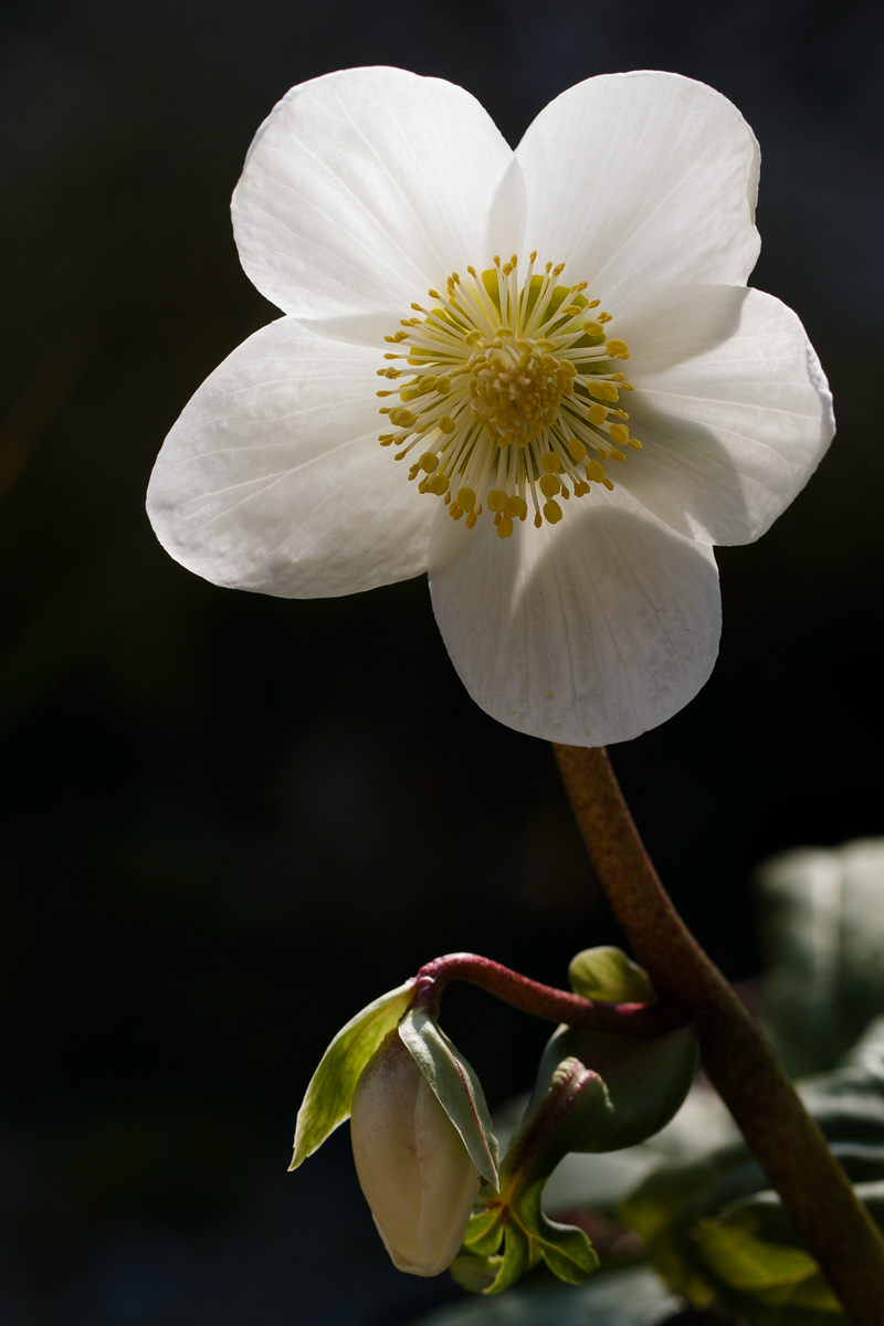 20160317_0315.jpg