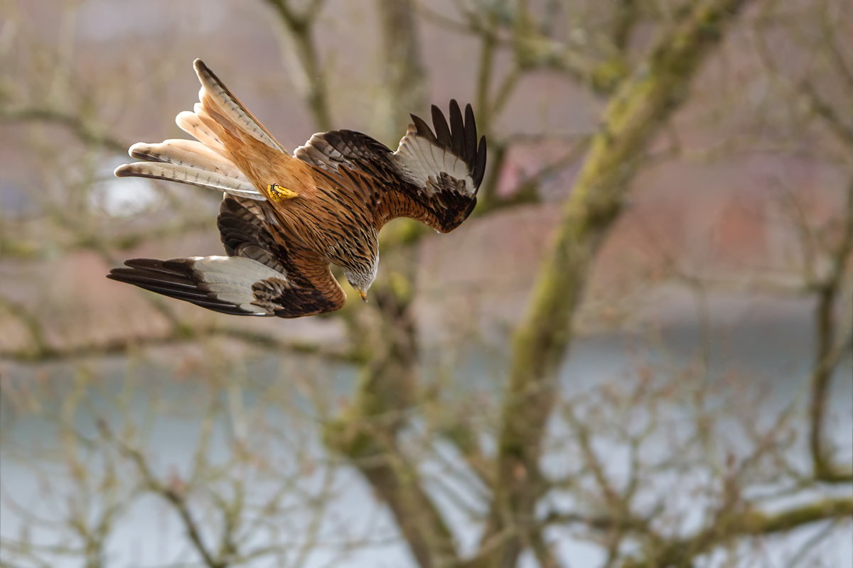 F25G3091-Bearbeitet.jpg