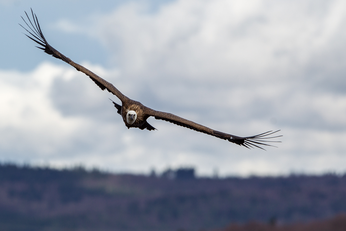 F25G2908-Bearbeitet.jpg