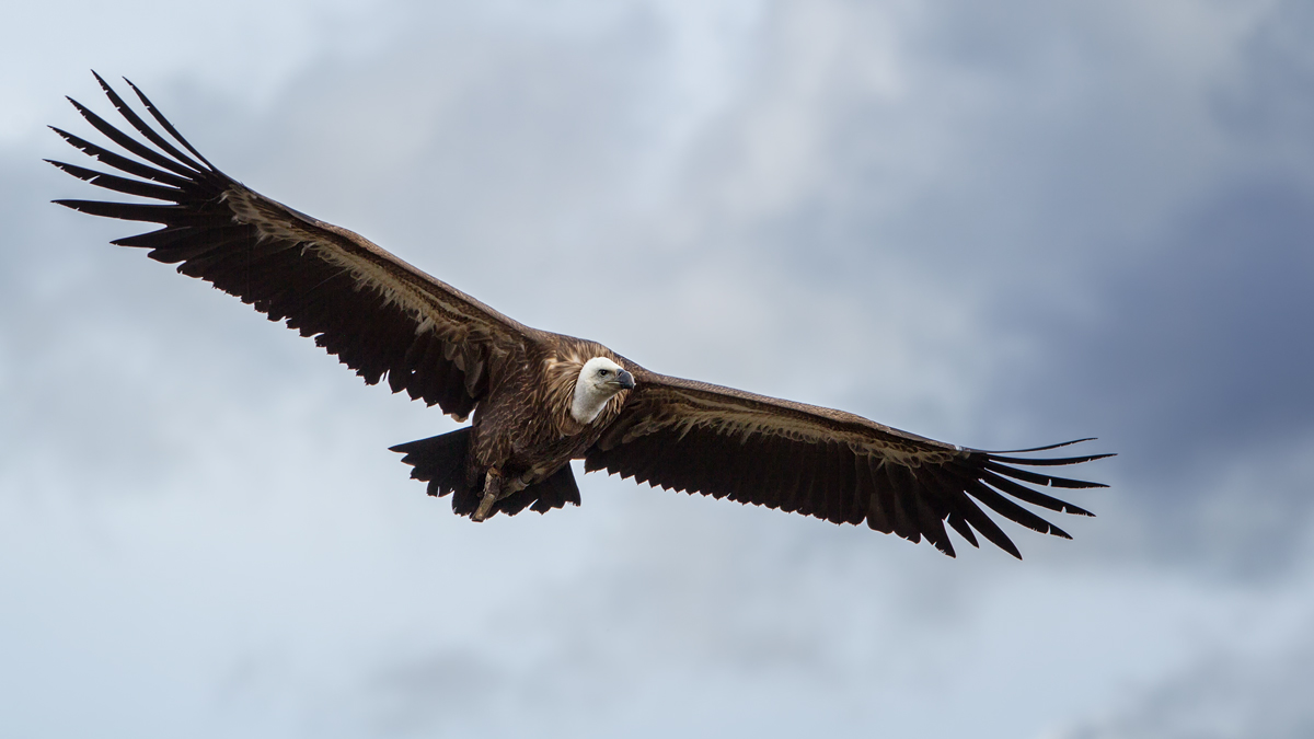 F25G2916-Bearbeitet.jpg