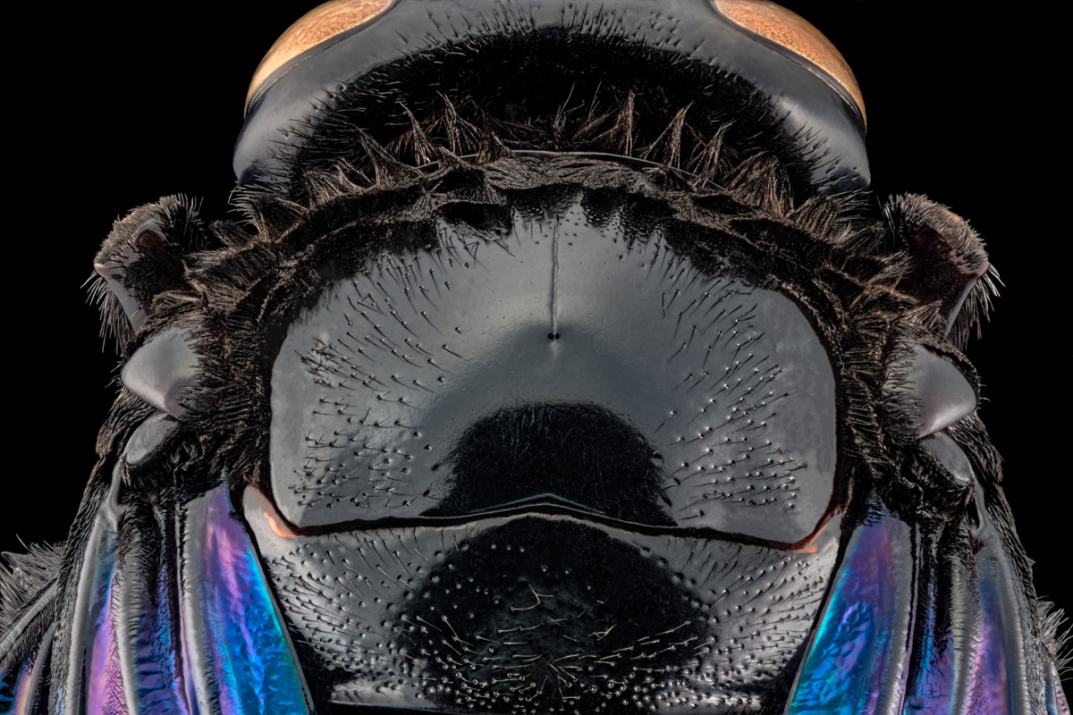 2.Schneider 50, 404 B,Bl 5.6 0,03 mm,Fuji 1,7.jpg