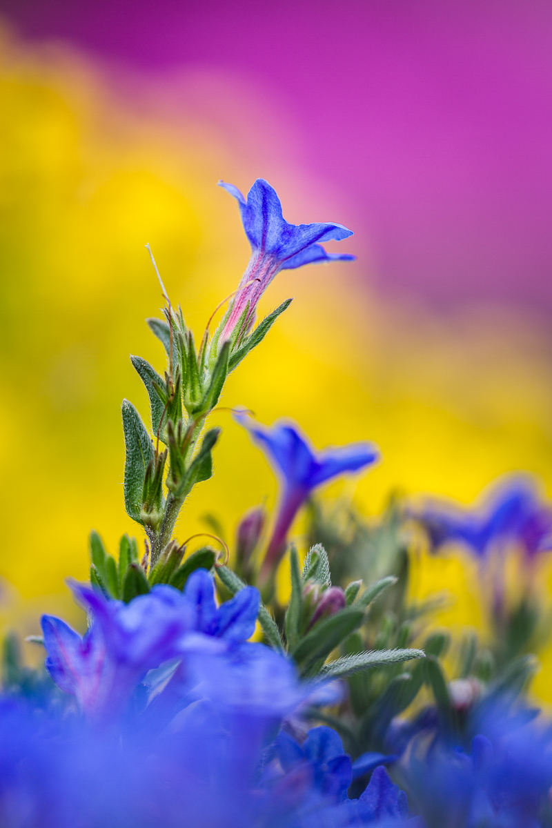 D7_20192-LR.jpg