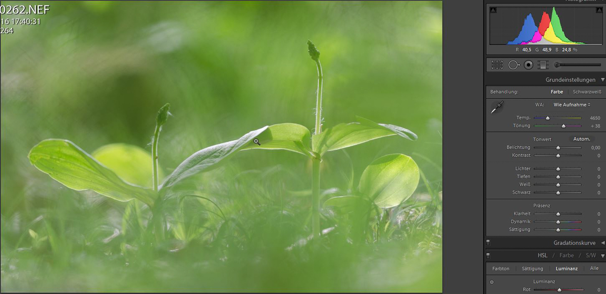 Nicht entwickelt-1200.JPG