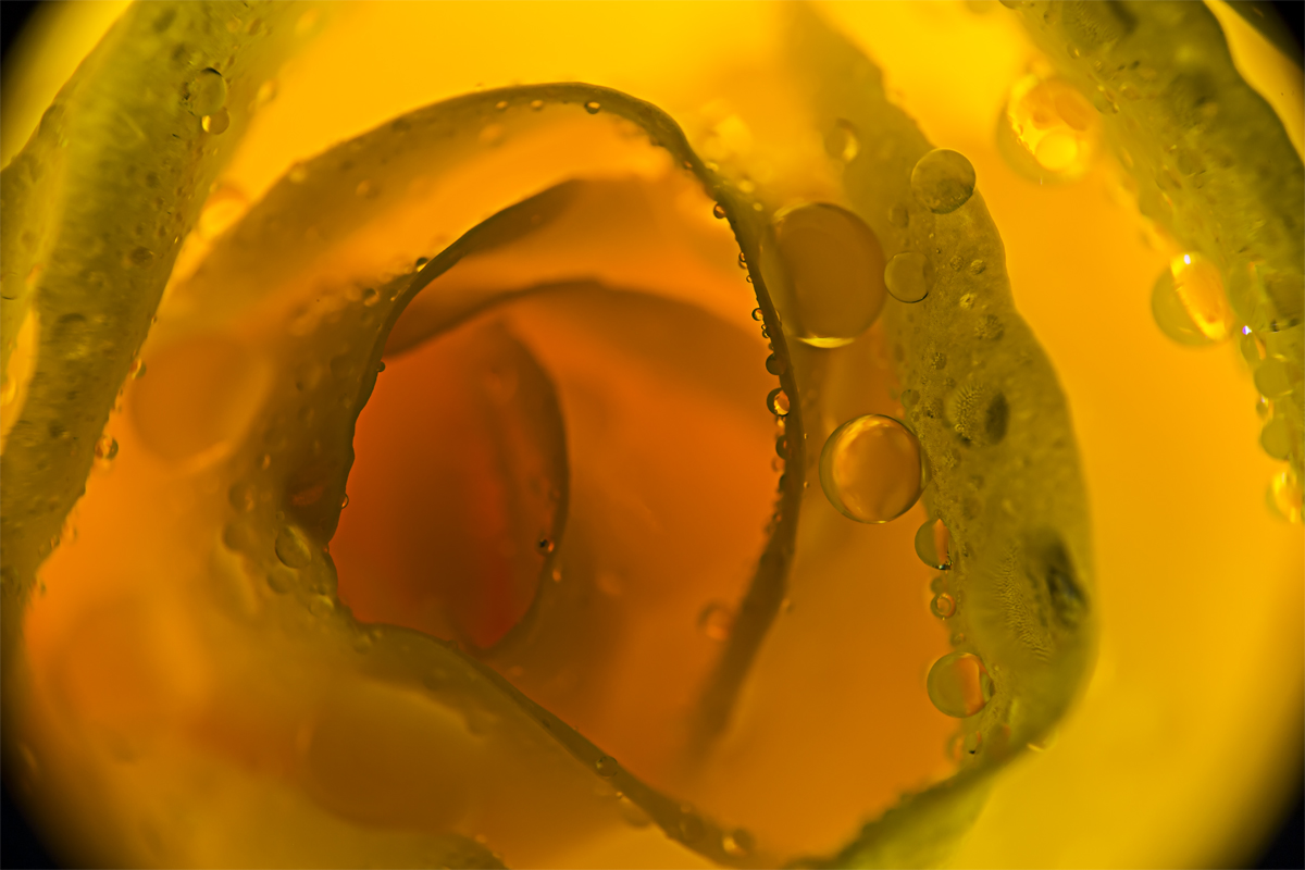 5DM32421_3.jpg
