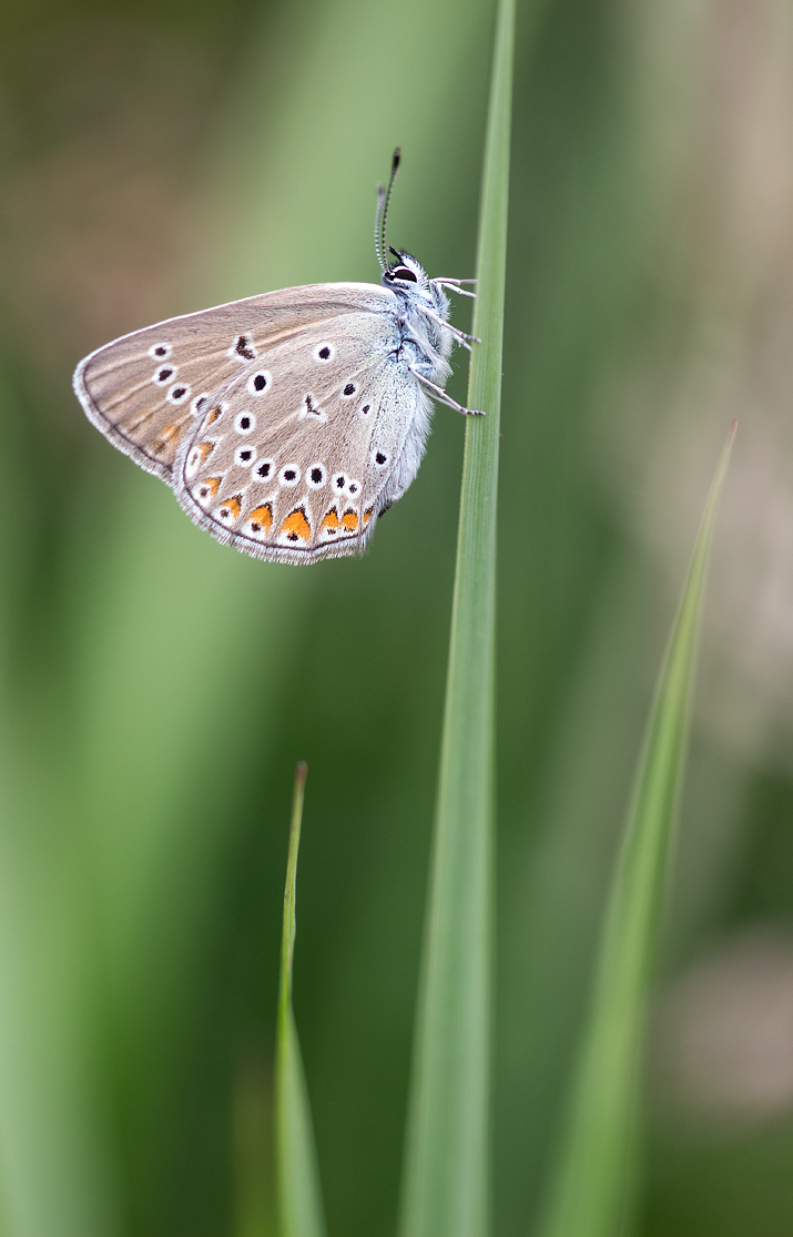 _MG_0146-Bearbeitet Kopie.jpg