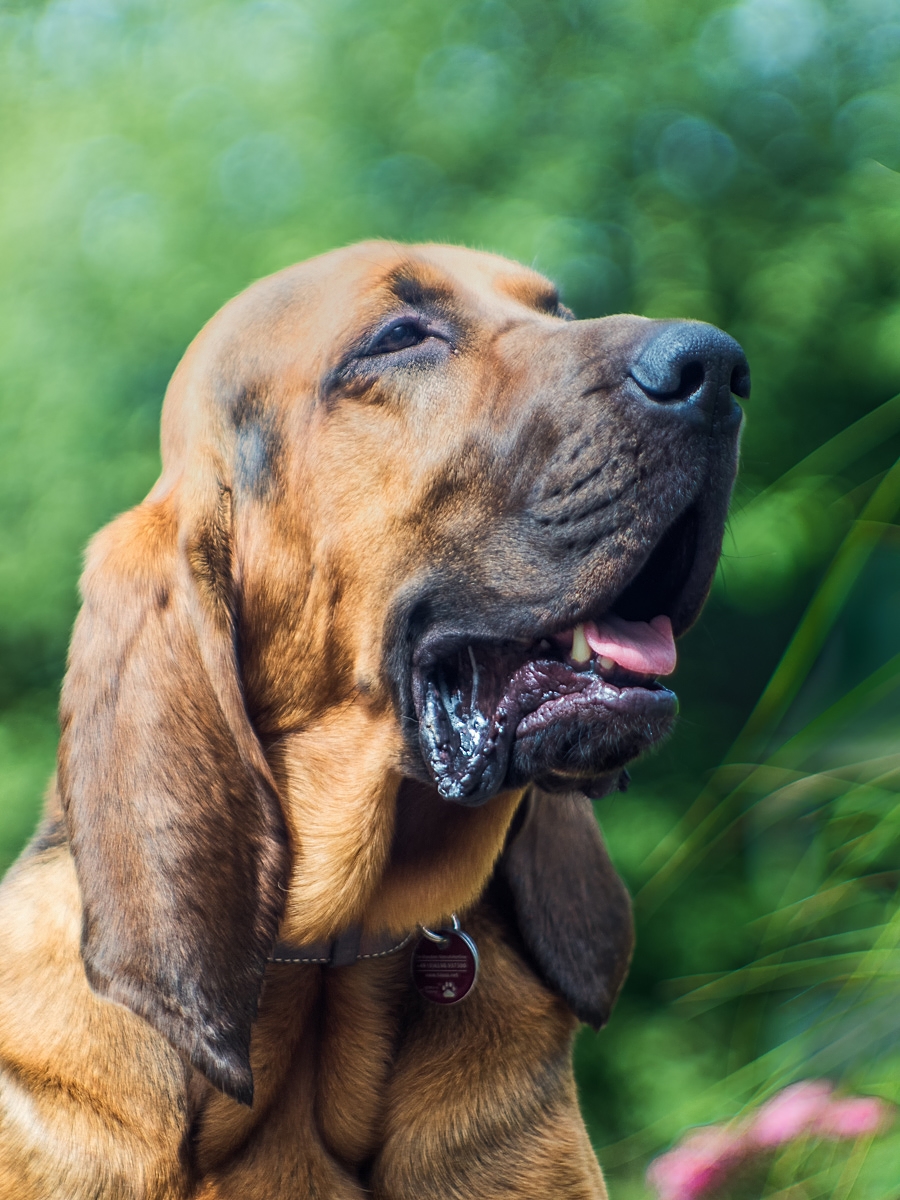 pratchettjup3 (1 von 1).jpg