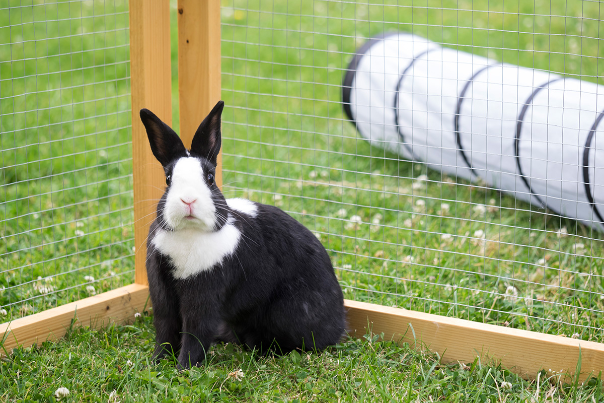 P7210071a-Fips verkl.jpg