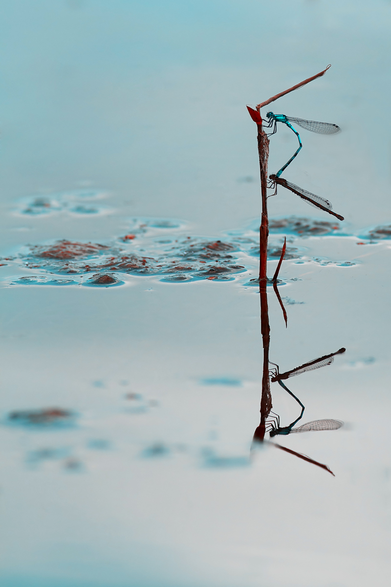 20160727_0161.jpg