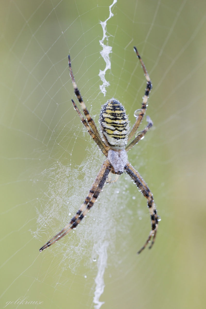 comp_IMG_9437-1.jpg