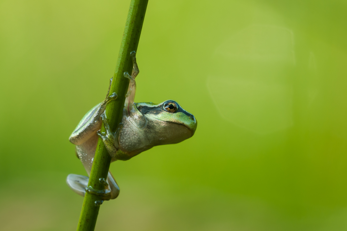 DSC_5439.jpg