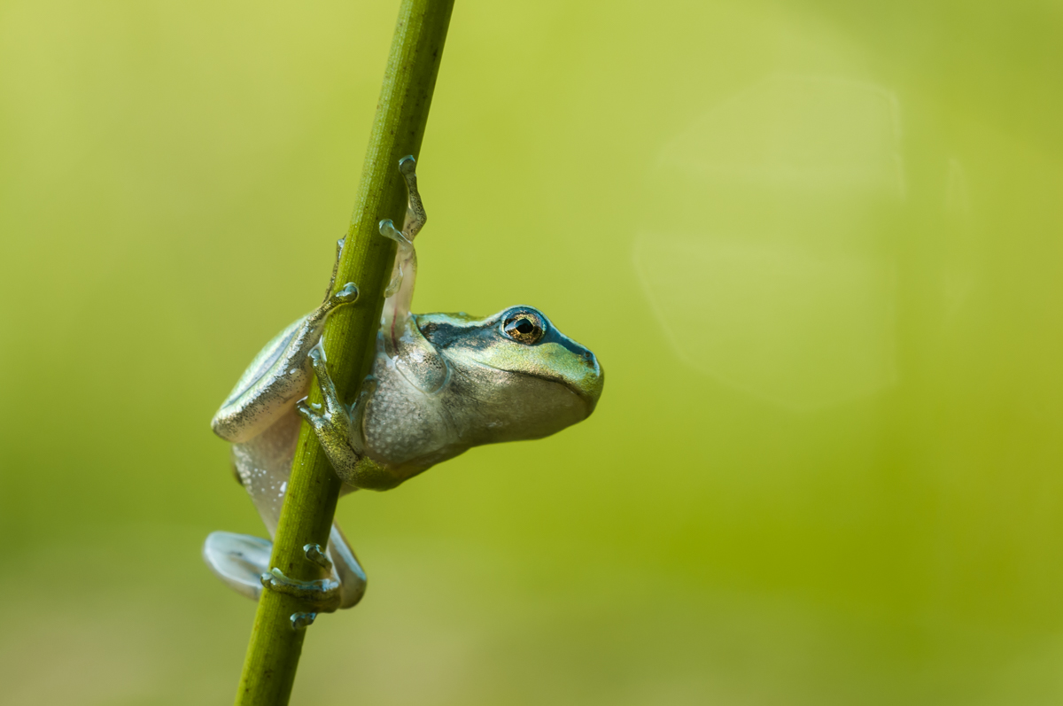 DSC_5439-4.jpg