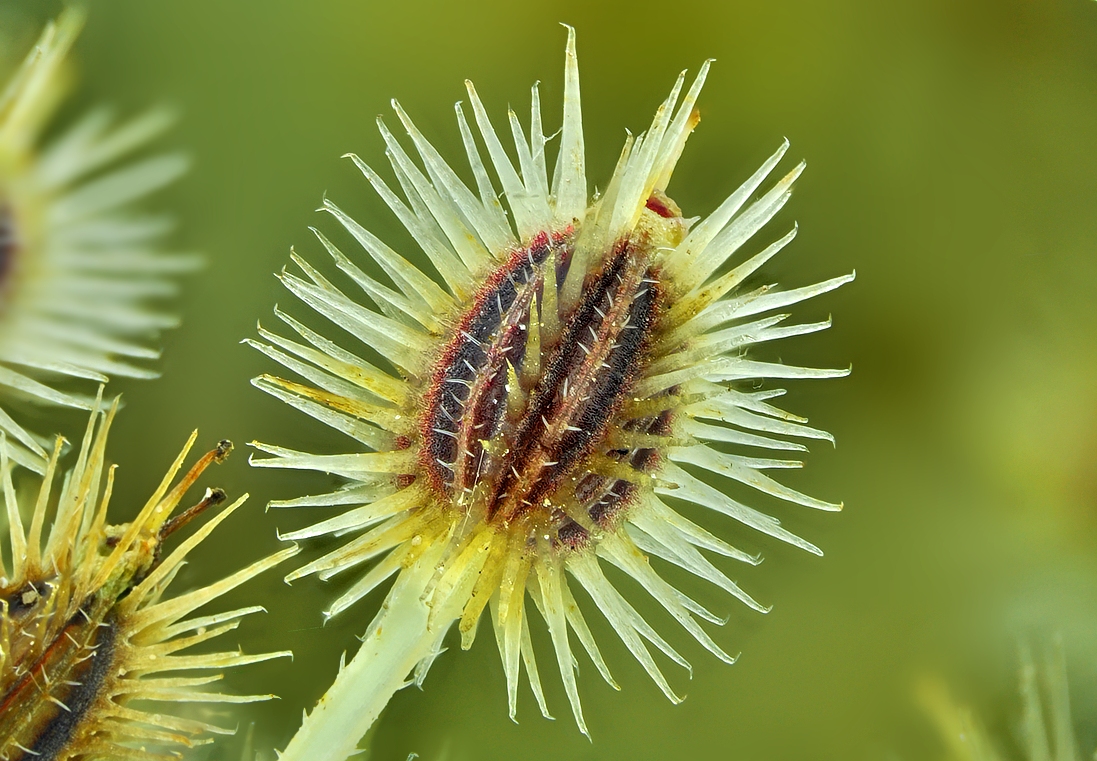 2016-09-02-10.37.25 ZS retouched.jpg