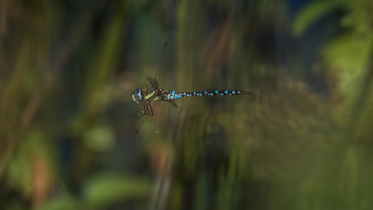 Gemütlich 088 klein.JPG