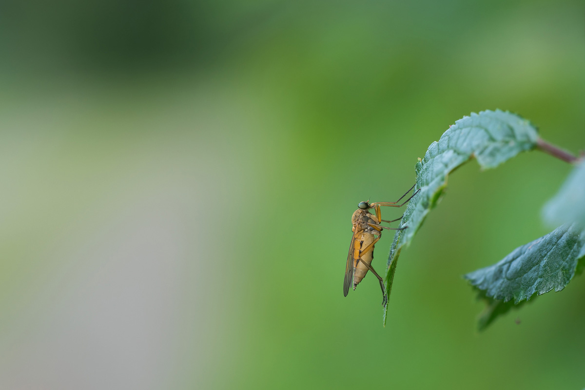 20160812-172530.jpg