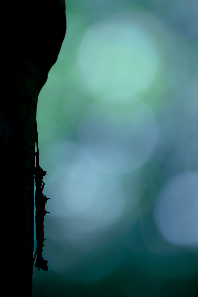 20160814-_DSC7784-klein.jpg