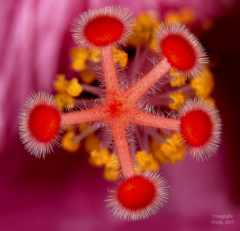 Best of 2013-1202-2.jpg