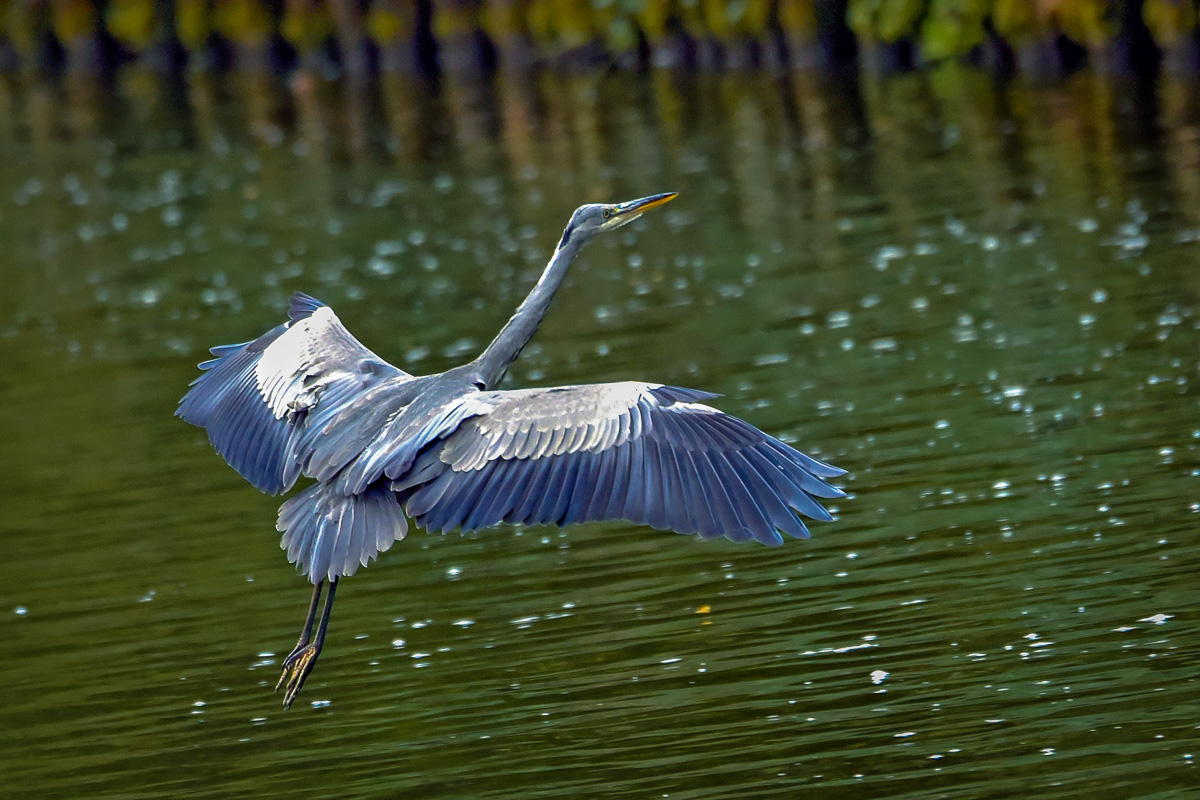 2016 10 09_Mecklemburger Seeenplatte_7005_bearbeitet-1.jpg