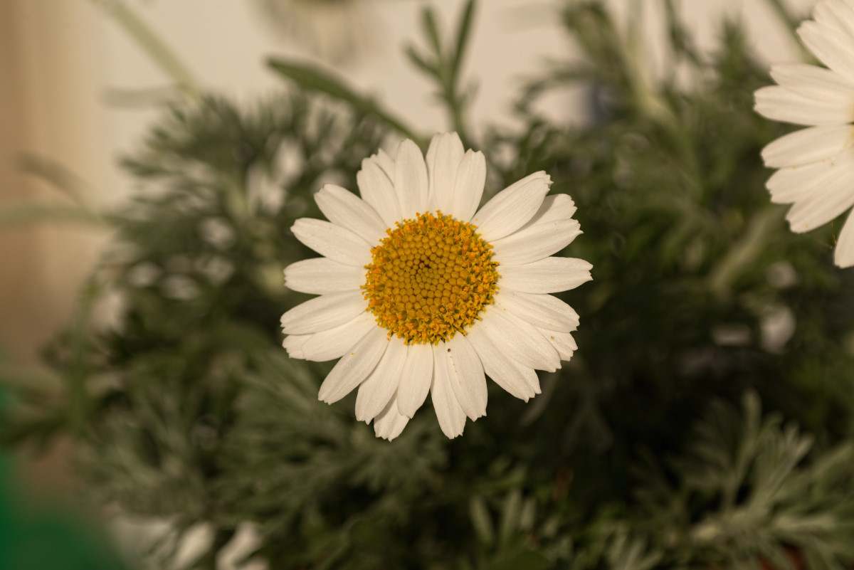 _DSC3267_04_Tonwert.JPG