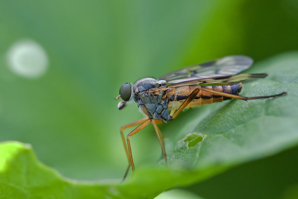 DPP_20671.JPG